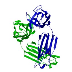 Image of CATH 3vrl