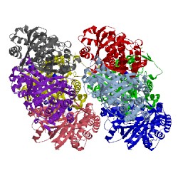 Image of CATH 3vs8