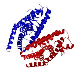 Image of CATH 3vsp