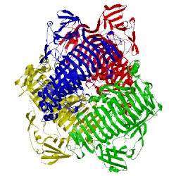 Image of CATH 3vsv