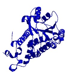 Image of CATH 3vtk