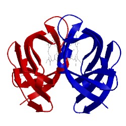Image of CATH 3vtm