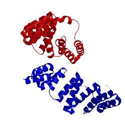 Image of CATH 3vtx