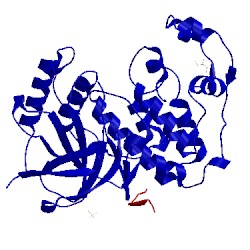 Image of CATH 3vum