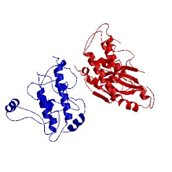 Image of CATH 3vut