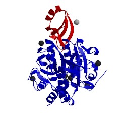 Image of CATH 3vv2