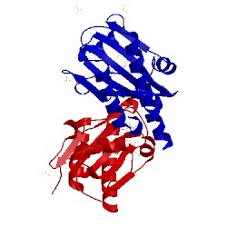 Image of CATH 3vv4