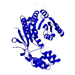 Image of CATH 3vvc