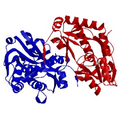 Image of CATH 3vvd