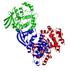 Image of CATH 3vvh