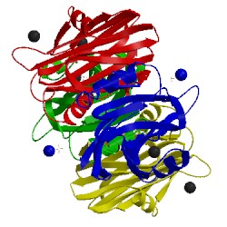 Image of CATH 3vwi