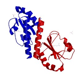 Image of CATH 3vww