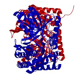 Image of CATH 3vz2