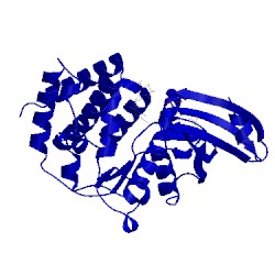 Image of CATH 3w0q