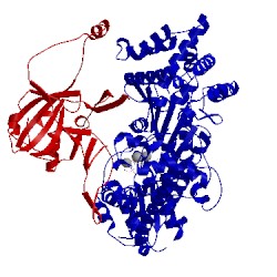 Image of CATH 3w2w