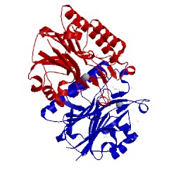 Image of CATH 3w2y