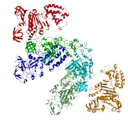 Image of CATH 3w3a