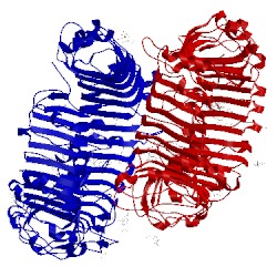 Image of CATH 3w3j