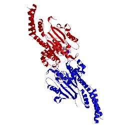 Image of CATH 3w6p