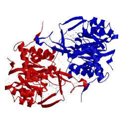Image of CATH 3w7d