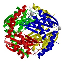 Image of CATH 3wb2