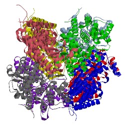 Image of CATH 3wb8