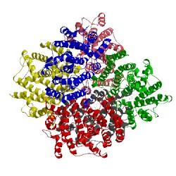 Image of CATH 3wc9