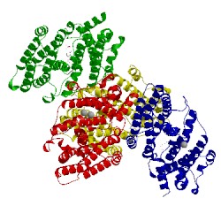 Image of CATH 3wca