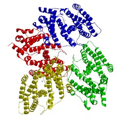 Image of CATH 3wcb