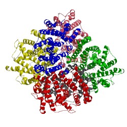Image of CATH 3wcj