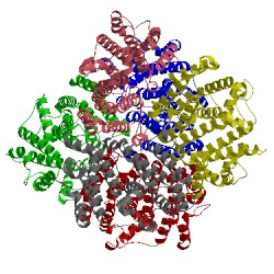 Image of CATH 3wcl