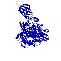 Image of CATH 3wdh