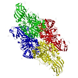 Image of CATH 3wf4