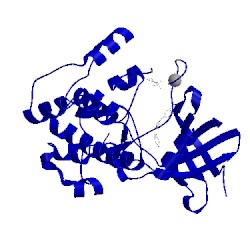 Image of CATH 3wf5
