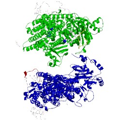 Image of CATH 3wgu