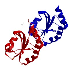 Image of CATH 3wgx