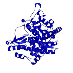 Image of CATH 3wh5