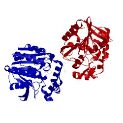 Image of CATH 3wi7
