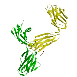 Image of CATH 3wii