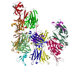 Image of CATH 3wkn