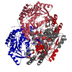 Image of CATH 3wkr