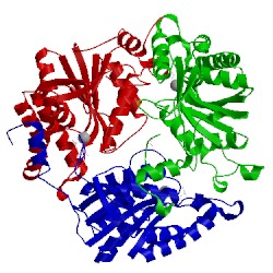 Image of CATH 3wl3