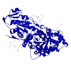 Image of CATH 3wlh