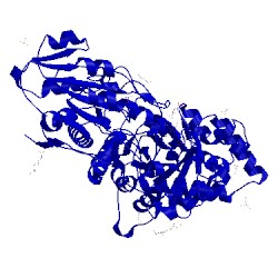 Image of CATH 3wlp