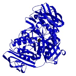 Image of CATH 3wms