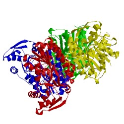 Image of CATH 3wmx