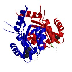 Image of CATH 3wnh