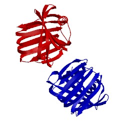 Image of CATH 3wp3