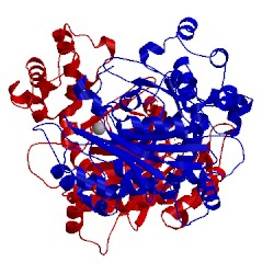 Image of CATH 3wpm