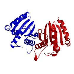 Image of CATH 3wpw